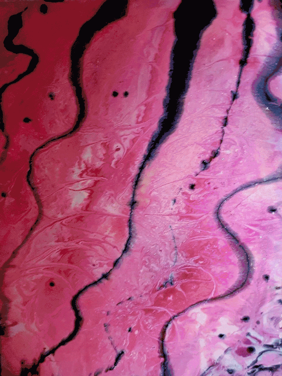 ArteDiAlina.com painting: snakes in rose water